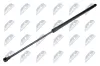 Gasfeder, Koffer-/Laderaum NTY AE-PL-050