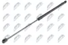 Gasfeder, Koffer-/Laderaum NTY AE-PL-059