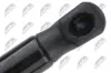 Gasfeder, Motorhaube NTY AE-PS-010 Bild Gasfeder, Motorhaube NTY AE-PS-010