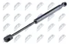 Gasfeder, Motorhaube beidseitig NTY AE-RE-047