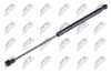Gasfeder, Heckscheibe NTY AE-RE-056