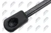 Gasfeder, Koffer-/Laderaum beidseitig NTY AE-RE-076 Bild Gasfeder, Koffer-/Laderaum beidseitig NTY AE-RE-076