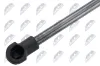 Gasfeder, Koffer-/Laderaum beidseitig NTY AE-RE-077 Bild Gasfeder, Koffer-/Laderaum beidseitig NTY AE-RE-077