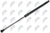 Gasfeder, Koffer-/Laderaum beidseitig NTY AE-RE-078 Bild Gasfeder, Koffer-/Laderaum beidseitig NTY AE-RE-078