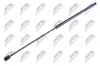 Gasfeder, Motorhaube NTY AE-SA-003