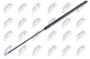 Gasfeder, Motorhaube NTY AE-SA-008