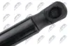 Gasfeder, Motorhaube NTY AE-SB-010 Bild Gasfeder, Motorhaube NTY AE-SB-010