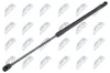 Gasfeder, Koffer-/Laderaum NTY AE-SK-022