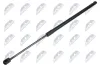 Gasfeder, Koffer-/Laderaum hinten NTY AE-SK-055