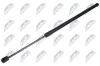 Gasfeder, Koffer-/Laderaum hinten beidseitig NTY AE-SK-061