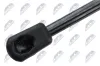 Gasfeder, Koffer-/Laderaum beidseitig NTY AE-SU-005 Bild Gasfeder, Koffer-/Laderaum beidseitig NTY AE-SU-005