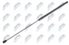 Gasfeder, Motorhaube NTY AE-TY-015