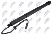 Elektromotor, Heckklappe rechts NTY AE-TY-092