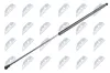 Gasfeder, Motorhaube NTY AE-VV-003
