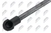Gasfeder, Motorhaube NTY AE-VV-053 Bild Gasfeder, Motorhaube NTY AE-VV-053
