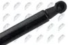 Gasfeder, Motorhaube NTY AE-VV-053 Bild Gasfeder, Motorhaube NTY AE-VV-053