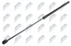 Gasfeder, Motorhaube vorne NTY AE-VW-079