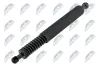 Gasfeder, Koffer-/Laderaum hinten links NTY AE-VW-103