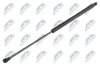 Gasfeder, Koffer-/Laderaum NTY AE-WW-000