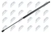 Gasfeder, Koffer-/Laderaum NTY AE-WW-010
