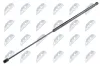 Gasfeder, Motorhaube NTY AE-WW-023