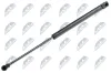 Gasfeder, Motorhaube NTY AE-WW-032