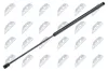 Gasfeder, Motorhaube NTY AE-WW-033