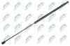 Gasfeder, Koffer-/Laderaum NTY AE-WW-036