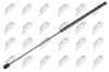 Gasfeder, Motorhaube NTY AE-WW-038