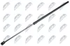 Gasfeder, Motorhaube NTY AE-WW-042