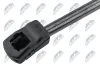 Gasfeder, Motorhaube NTY AE-WW-042 Bild Gasfeder, Motorhaube NTY AE-WW-042