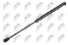 Gasfeder, Motorhaube NTY AE-WW-049