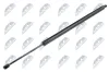 Gasfeder, Koffer-/Laderaum NTY AE-WW-050