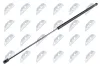 Gasfeder, Motorhaube NTY AE-WW-052