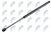 Gasfeder, Koffer-/Laderaum NTY AE-WW-063