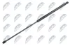 Gasfeder, Koffer-/Laderaum NTY AE-WW-069