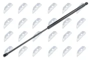 Gasfeder, Koffer-/Laderaum NTY AE-WW-069