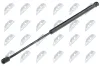 Gasfeder, Koffer-/Laderaum NTY AE-WW-070