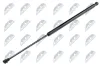 Gasfeder, Koffer-/Laderaum NTY AE-WW-071