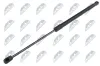 Gasfeder, Motorhaube NTY AE-WW-078