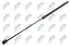 Gasfeder, Motorhaube vorne NTY AE-WW-079