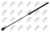 Gasfeder, Motorhaube beidseitig NTY AE-WW-085