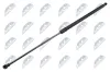 Gasfeder, Motorhaube NTY AE-WW-093