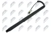 Gasfeder, Koffer-/Laderaum NTY AE-WW-105