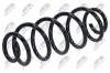 Fahrwerksfeder Hinterachse NTY ASZ-AU-008 Bild Fahrwerksfeder Hinterachse NTY ASZ-AU-008