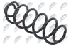 Fahrwerksfeder Hinterachse NTY ASZ-AU-009 Bild Fahrwerksfeder Hinterachse NTY ASZ-AU-009