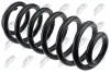 Fahrwerksfeder Vorderachse NTY ASZ-AU-020 Bild Fahrwerksfeder Vorderachse NTY ASZ-AU-020