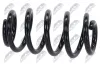 Fahrwerksfeder Vorderachse NTY ASZ-AU-031 Bild Fahrwerksfeder Vorderachse NTY ASZ-AU-031