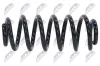 Fahrwerksfeder Hinterachse NTY ASZ-AU-038 Bild Fahrwerksfeder Hinterachse NTY ASZ-AU-038