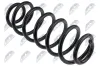 Fahrwerksfeder Hinterachse NTY ASZ-AU-039 Bild Fahrwerksfeder Hinterachse NTY ASZ-AU-039